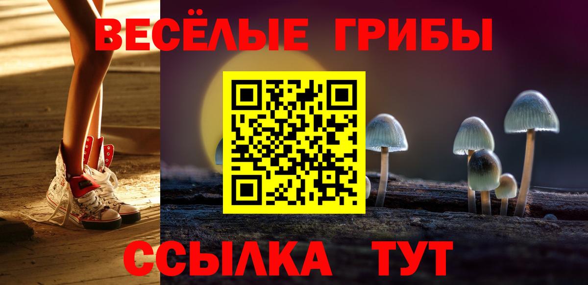 Псилоцибиновые грибы Сургут