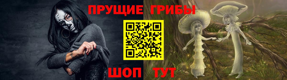 Галлюциногенные грибы Magic Shrooms  Псилоцибиновые грибы ЛСД  Сургут  Вход с VPN 